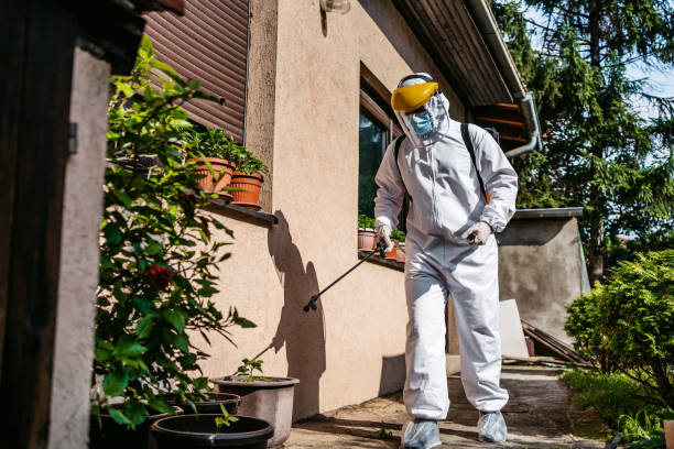 Pest Control for Restaurants in Fernley, NV