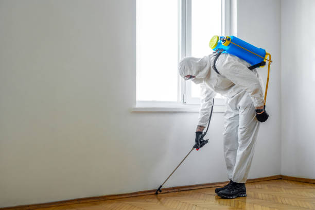 Best Residential Pest Control  in Fernley, NV
