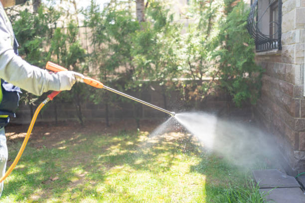 Best Pest Prevention Services  in Fernley, NV