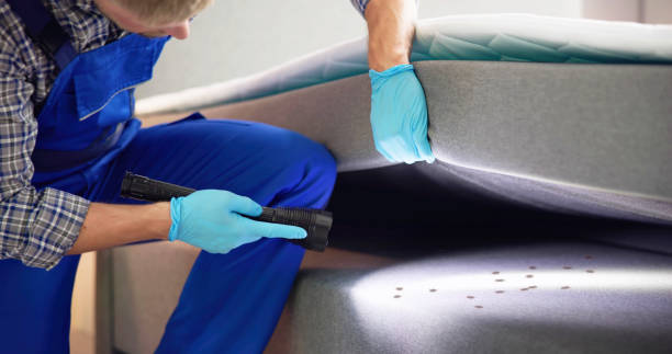 Best Bed Bug Extermination  in Fernley, NV