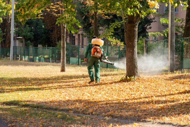 Best Mosquito Control Services  in Fernley, NV