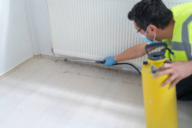 Fernley, NV Pest Control Company